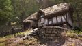 Thumbnail for version as of 05:13, 6 June 2025