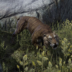 Online:Sabre Cat - The Unofficial Elder Scrolls Pages (UESP)