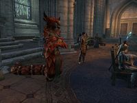 ESO: Talk to Sergeant Kamu - Into the Woods - , The Video