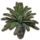ON-icon-furnishing-Elsweyr Potted Plant, Cask Palm.png
