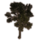 ON-icon-furnishing-Tree, Sturdy Summer.png