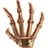 OB-icon-misc-SkeletalHand.png