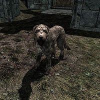 do dogs respawn in skyrim