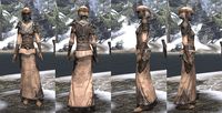 ON-item-armor-Homespun-Robe-Dunmer-Female.jpg