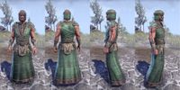 ON-item-armor-Nord Light Robe 1 Male.jpg