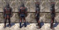 ON-item-armor-Syrabanic Marine Medium Male.jpg