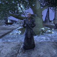 Online:Faraniel - The Unofficial Elder Scrolls Pages (UESP)