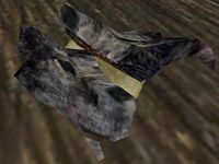 BM-ing-Wolf Pelt.jpg