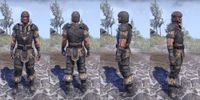 ON-item-armor-Nord Light Jerkin 2 Male.jpg