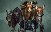 SR-menu-Pets of Skyrim.jpg