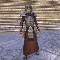 ON-costume-Battlemage Tribune Armor (Male).jpg