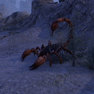 Online:Scorpion - The Unofficial Elder Scrolls Pages (UESP)