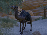 ON-creature-al-Danobia Camel.jpg