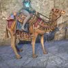 ON-mount-Baandari Pedlar Camel.jpg