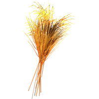 SR-icon-misc-Orange-Encrusted Wheat.png