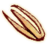 OB-icon-ingredient-Stinkhorn Cap.png