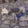 ON-pet-Dread-Aurelian Dragonslayer Wolf.jpg