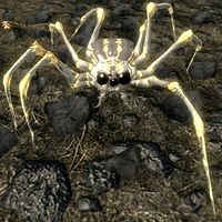 SR-creature-Pack Spider 02.jpg