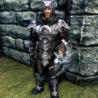 nordic carved armor