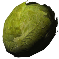 BS5-icon-food-Lettuce.png