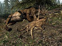 SR-ingredient-Large Antlers.jpg