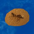 Thumbnail for version as of 01:35, 22 April 2025