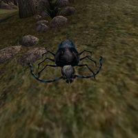 TD3-creature-Blue Beetle.jpg