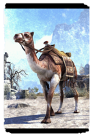 ON-card-Dappled Elinhir Camel.png