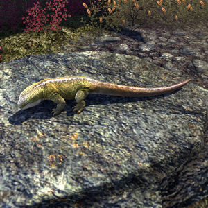 Online:Lizard - The Unofficial Elder Scrolls Pages (UESP)