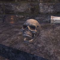 ON-item-General Dathieu's Skull.jpg