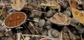 Thumbnail for version as of 21:21, 10 September 2024