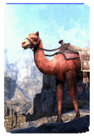 ON-card-Hel Ra Camel of Kingship.png