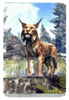 ON-card-Northern Lynx.png