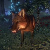 ON-creature-Vicious Dire Wolf 02.jpg
