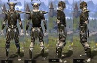ON-item-armor-Leather-Altmer-Male.jpg