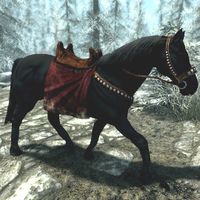 BS5C-creature-Black Horse.jpg