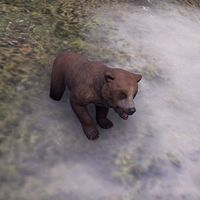 ON-creature-Bear Cub 02.jpg