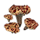 ON-icon-furnishing-Toadstool, Bloodtooth Cluster.png
