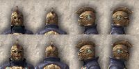 ON-item-armor-Arkthzand Armory Medium Beast Races.jpg