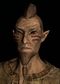 SR-race-Wood Elf (male).jpg