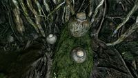 OBR-flora-Screaming Maw.jpg