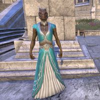 Shimmerene Soiree Gown (male)