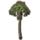 ON-icon-furnishing-Tree, Fan Palm.png