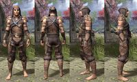 ON-item-armor-Wood Elf Medium 2 Male.jpg