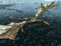 skyrim ancient dragon