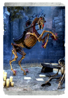 ON-card-Skeletal Horse.png