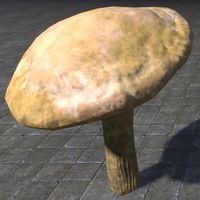 ON-furnishing-Mushroom, Young Milkcap.jpg