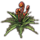 ON-icon-furnishing-Plant, Spore Pod.png