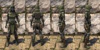 ON-item-armor-Hircine Bloodhunter Heavy Female.jpg