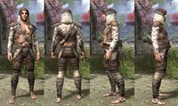 ON-item-armor-Wood Elf Light Jerkin 1 Male.jpg